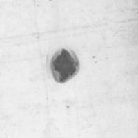 Burnt Particle